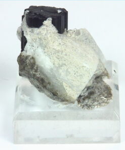 Quarts Crystal with Black Tourmaline Crystals,MS,786