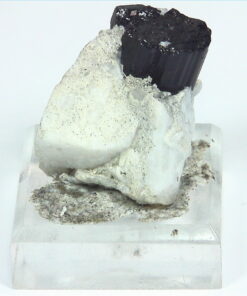 Quarts Crystal with Black Tourmaline Crystals,MS,786