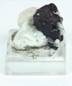Quarts Crystal with Black Tourmaline Crystals,MS,786