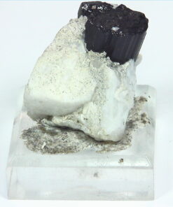 Quarts Crystal with Black Tourmaline Crystals,MS,786