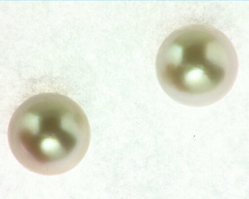 Pearl Gold Earrings