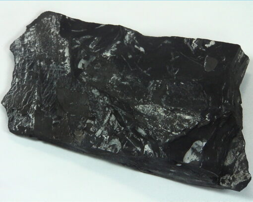 Coal Specimen From Pennsylvania MS,791