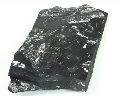 Coal Specimen From Pennsylvania MS,791
