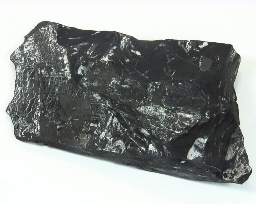 Coal Specimen From Pennsylvania MS,791