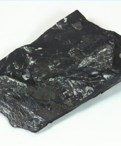 Coal Specimen From Pennsylvania MS,791