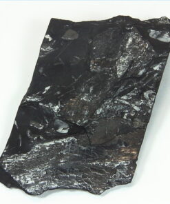 Coal Specimen From Pennsylvania MS,791