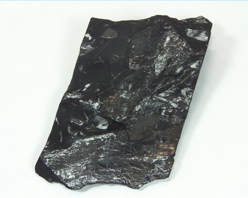 Coal Specimen From Pennsylvania MS,791