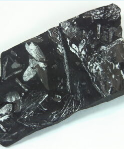 Coal Specimen From Pennsylvania MS,791