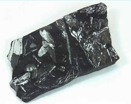 Coal Specimen From Pennsylvania MS,791