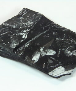 Coal Specimen From Pennsylvania MS,791