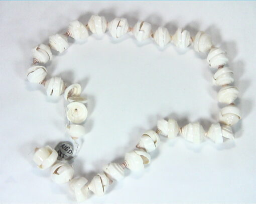 Sea Shell Necklace NBD,855