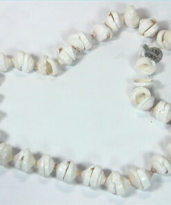 Sea Shell Necklace NBD,855