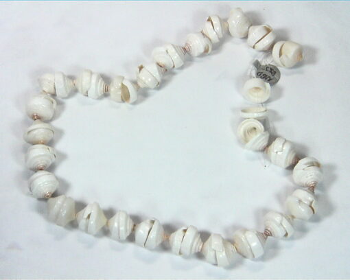Sea Shell Necklace NBD,855