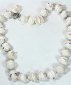 Sea Shell Necklace NBD,855