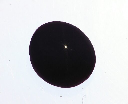 Garnet Star Natural Genuine Rare Gemstone, 8.09 CT GRG,683 - Image 4