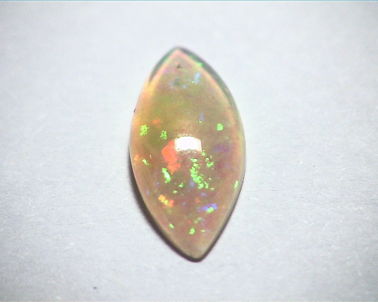 Opal (Ethiopian ) 2.52 KT Natural Genuine Cabochon Gemstone GSG,62 - Image 2
