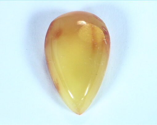 Amber Natural Genuine Gemstone Pear Shape Gemstone 12.44 CT GSG 18 - Image 7