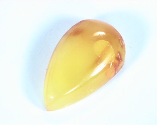 Amber Natural Genuine Gemstone Pear Shape Gemstone 12.44 CT GSG 18