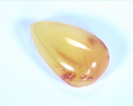 Amber Natural Genuine Gemstone Pear Shape Gemstone 12.44 CT GSG 18 - Image 4
