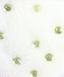 Peridot Natural Genuine Gemstones Round Cabochon 2.00 CT GSG 561