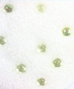 Alternative view of Peridot Natural Genuine Gemstones Round Cabochon 2.00 CT GSG 561